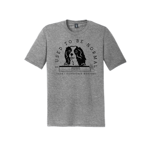 "I Used to be Normal" King Charles Spaniel